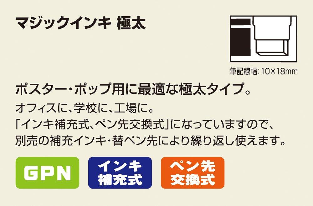 Чернильная ручка Teranishi Chemical Industry Magic Ink Pen Extra Thick Green на масляной основе MGDRP-T4