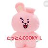[USED] BTS BT21 COOKY Tatton Plush Toy, Large, Jungkook