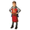 Childrens/Kids King Arthur Costume