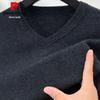 Pierre Cardin Men's V-Neck 100% Pure Wool Sweater
