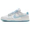 Dunk Low 520 Pack Ocean Bliss Скейтбордические Кроссовки FN3433-141