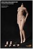Faisen Limited Scale Super Flexible Seamless Female Body Santan Series Bust Size M Asian Female 1/6 PLMB2016-S17B