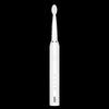 SAMPO Smart Sonic Electric Toothbrush