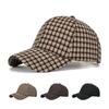 Men Autumn Winter Small Plaid Cap Baseball Cap Women Sun Hat Ponytail Panama Cap Visor Hats Snapback Hat