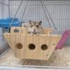 Деревянные качели для хомяка, устойчивые к укусам, прочная платформа для лазания для хомяка с цепью, подвесная кровать для попугая, для золотистого хомяка, морской свинки