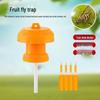 Golden Fruit Fly Trap: Effective Melon & Fruit Fly Attractant
