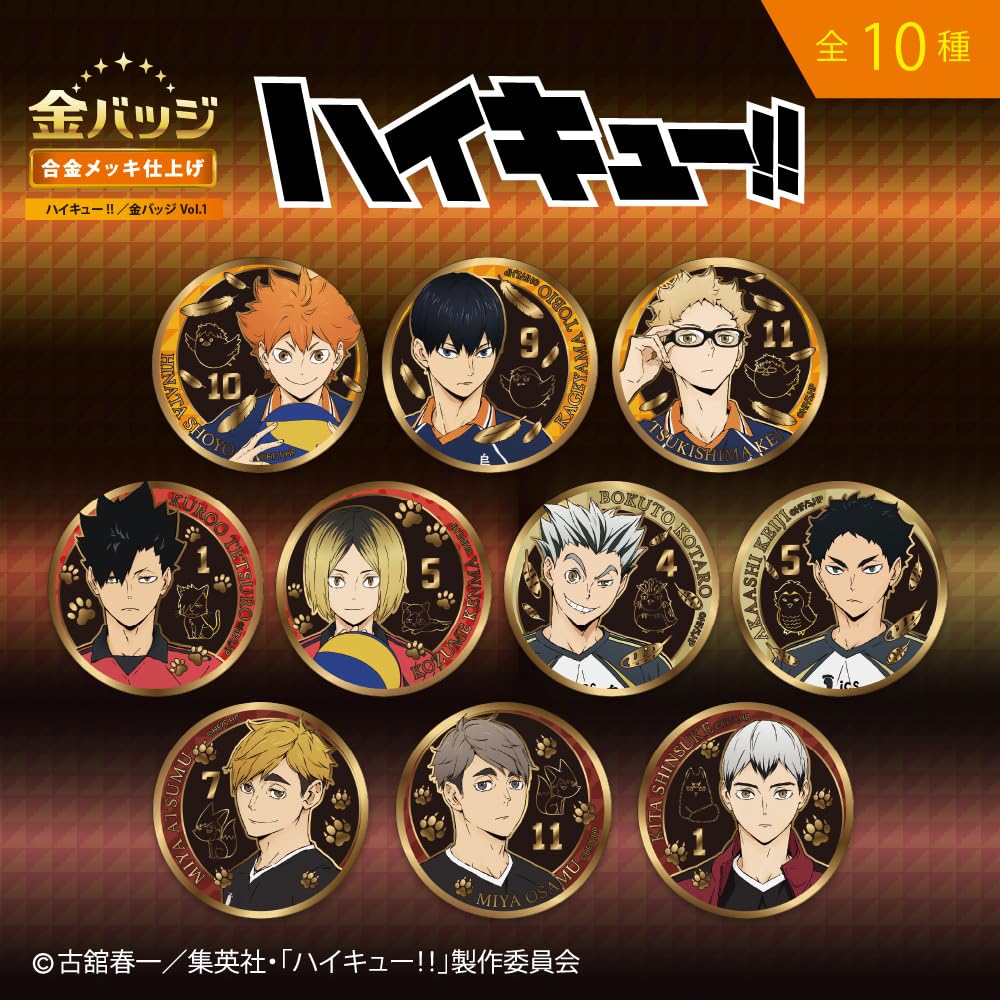 Tenyo Overwhelming Gold Badges of 24K Gold Plated Tin Diameter Haikyu!! Vol.1 (Set 10, Boxed) TKB-S03 Badges, Approx. 5.5cm