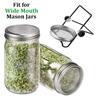 Seed Sprouter Germination Cover Sprouting Mason Jars With Stainless Steel Strainer Screen Lids Stainless Steel Germinator Stand