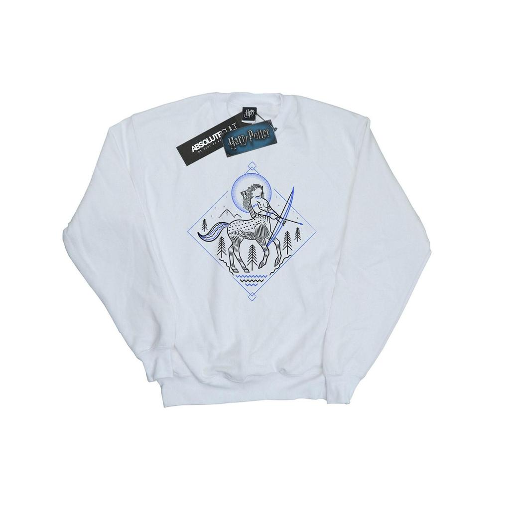 Harry Potter Womens/Ladies Centaur Line Art Sweatshirt