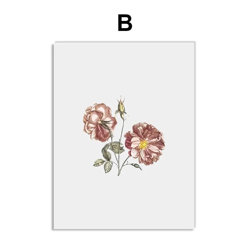 Винтажные постеры с дикими растениями, ботанические цветочные принты, картины на холсте, современные настенные художественные картины для гостиной, украшения дома