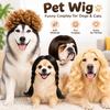 Black Twin Tails Dog Wig Brown Curly Pet Hairpiece Funny Golden Wavy Hair Festival Dress-Up