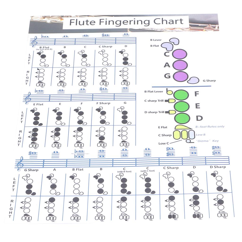 Flute Fingering Chord Chart Beginner Student Practice Teaching Aids Instrument
