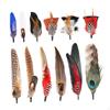 Craft Feathers for Stylish Fedora Hats