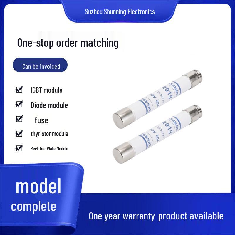 RO19H gG 600V Fuses: Available in 2A, 4A, 15A, and 30A - All New Original Models.