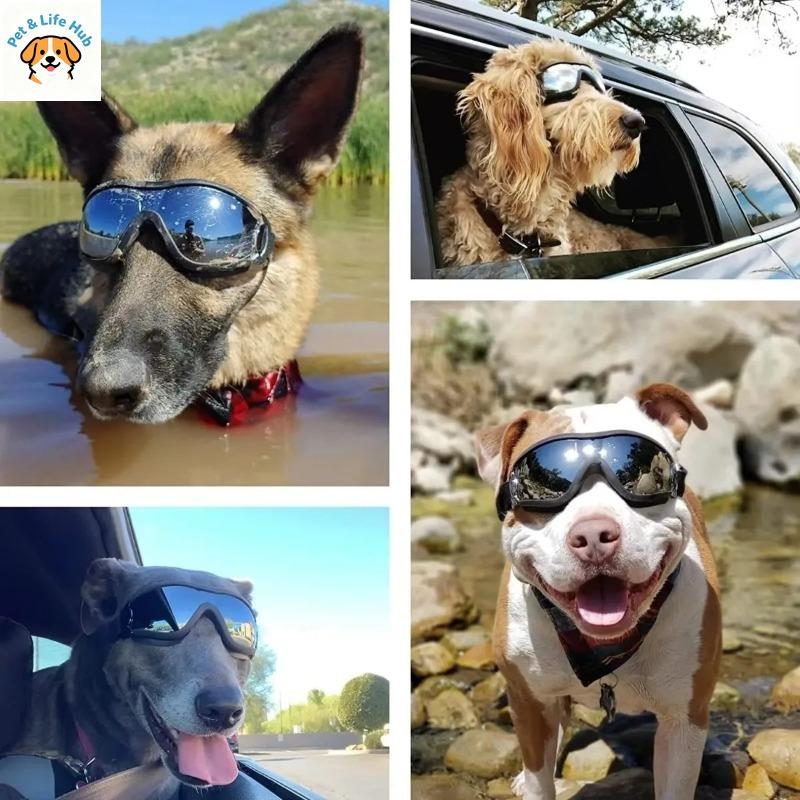 Dog Sunglasses Anti-Fog Goggles Adjustable Strap Pet Snow Goggles for Travel Skiing Outdoor Sports for Medium to Large Dogs
