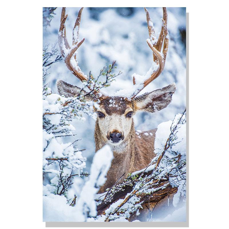 Flower Lake Snow Owl Deer Forest Landscape Winter Wall Art Canvas Painting Nordic Posters And Prints Wall Pictures Home Decor