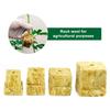 Rock Wool Hydroponic Grow Media Cubes Garden Seedling Block Water Cultivation Seed Sowing Germination Culture Substrate