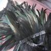 2m Rooster Tail Feather Trim: Costume & Accessory Decoration