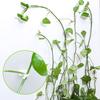 50Pcs Vine Holder Self-adhesive No Punching Easy Installation Invisible Sticky Plants Support Plastic Wall Climbing Vine Clip Gardening Supplies
