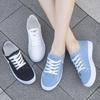 Canvas Shoes Children's Autumn New Women's Shoes Spring and Summer White Shoes Student Sports Flat Shoes Board Shoes