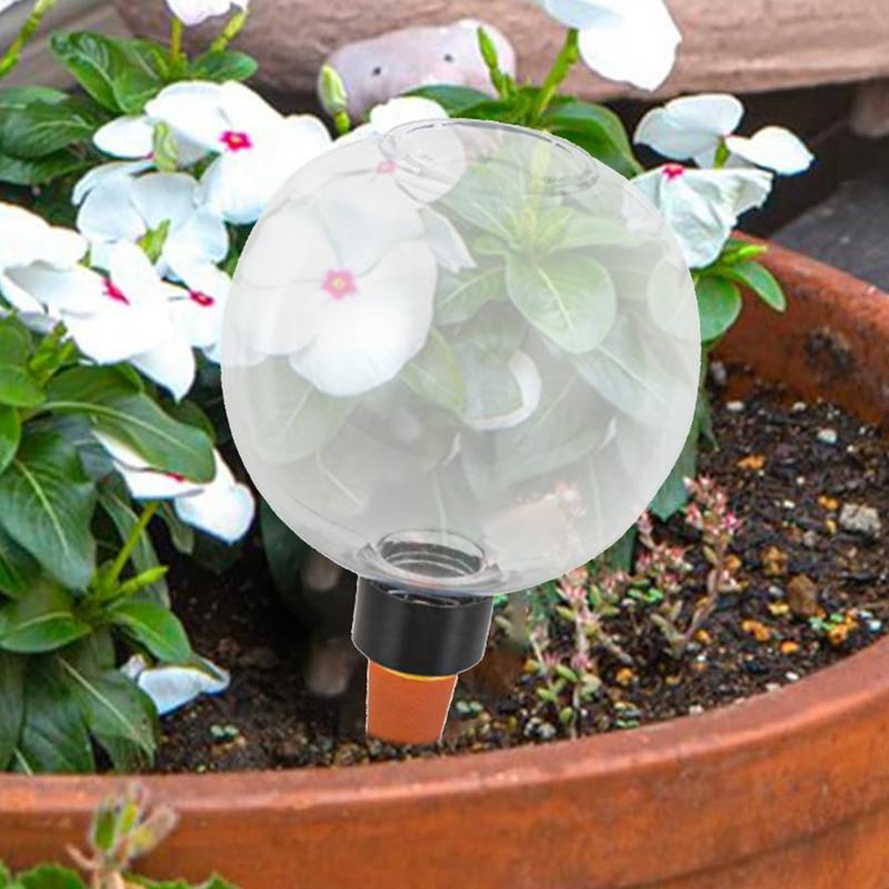 Полив луковиц для комнатных растений Автоматический полив растений Автоматическое устройство для полива Для ухода Шипы Аксессуары для дома