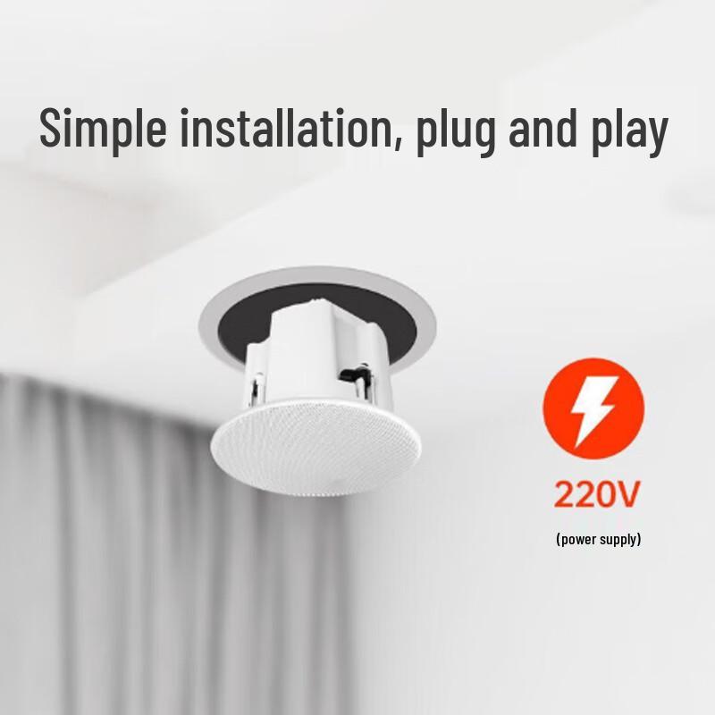 KASOOY Wireless Bluetooth Ceiling Speaker System