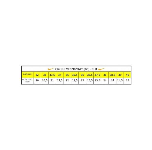 Кроссовки Nike CD6870-003/37,5
