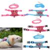 Hamster Rabbit Harness Leash Set For Ferret Guinea Pig Small Pet Chest Strap