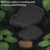 Reptile Feeder Terrarium Bowl Turtle Food And Water Feeding Dish for Tortoise Lizard Gecko Bearded Dragon