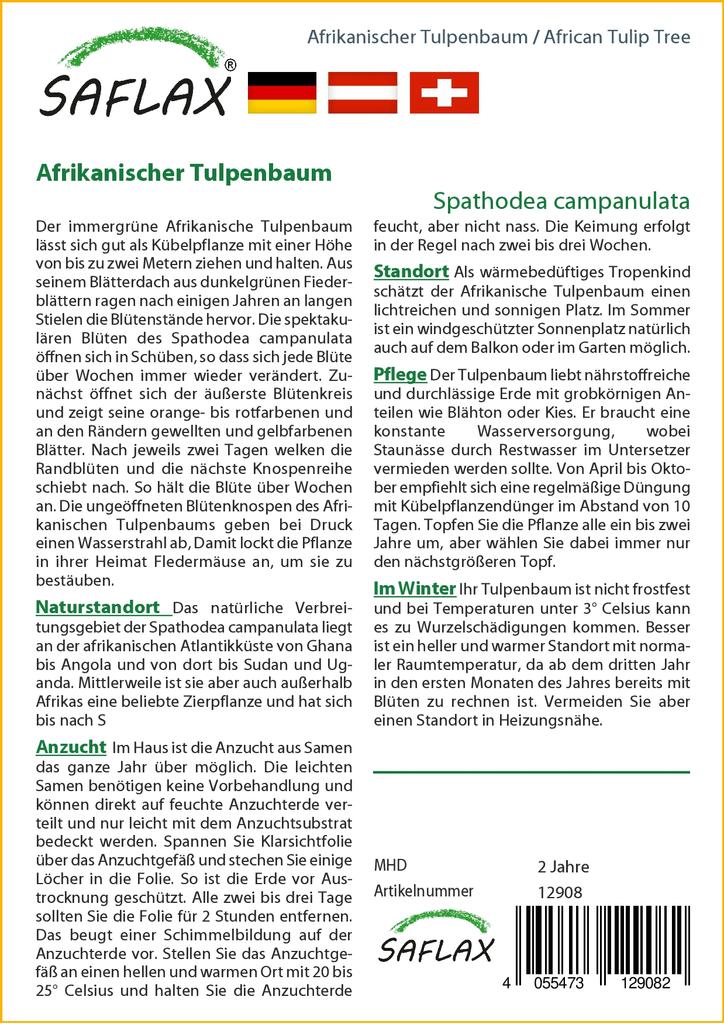 SAFLAX Африканское тюльпановое дерево - 30 семян - С горшечным субстратом для лучшего выращивания - Spathodea Campanulata