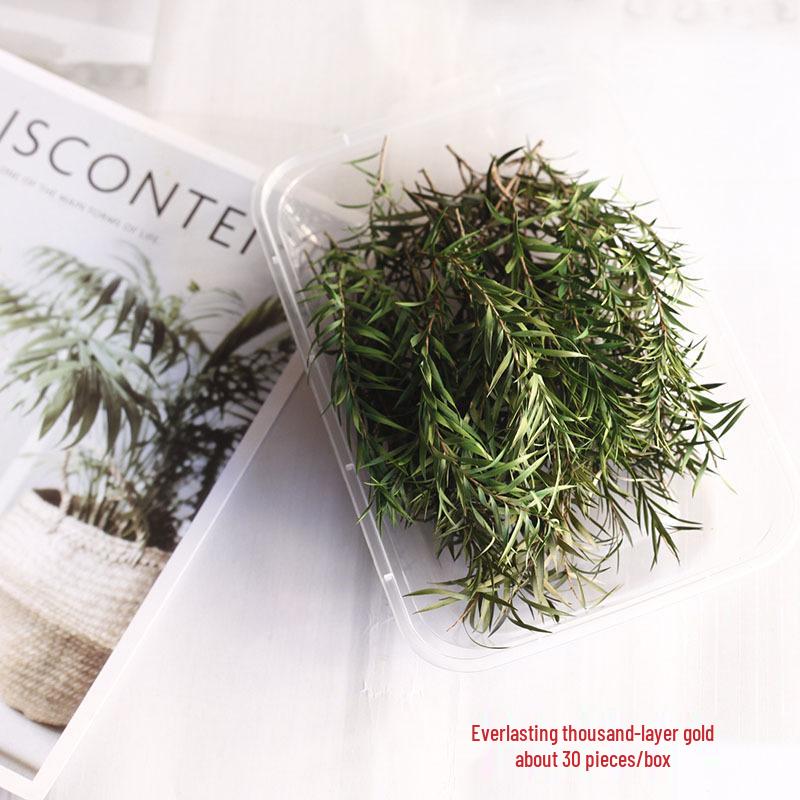 Pistachio Cross Fruit & Fish Scale Pine Gomphrena DIY Dried Flower Weaving Material
