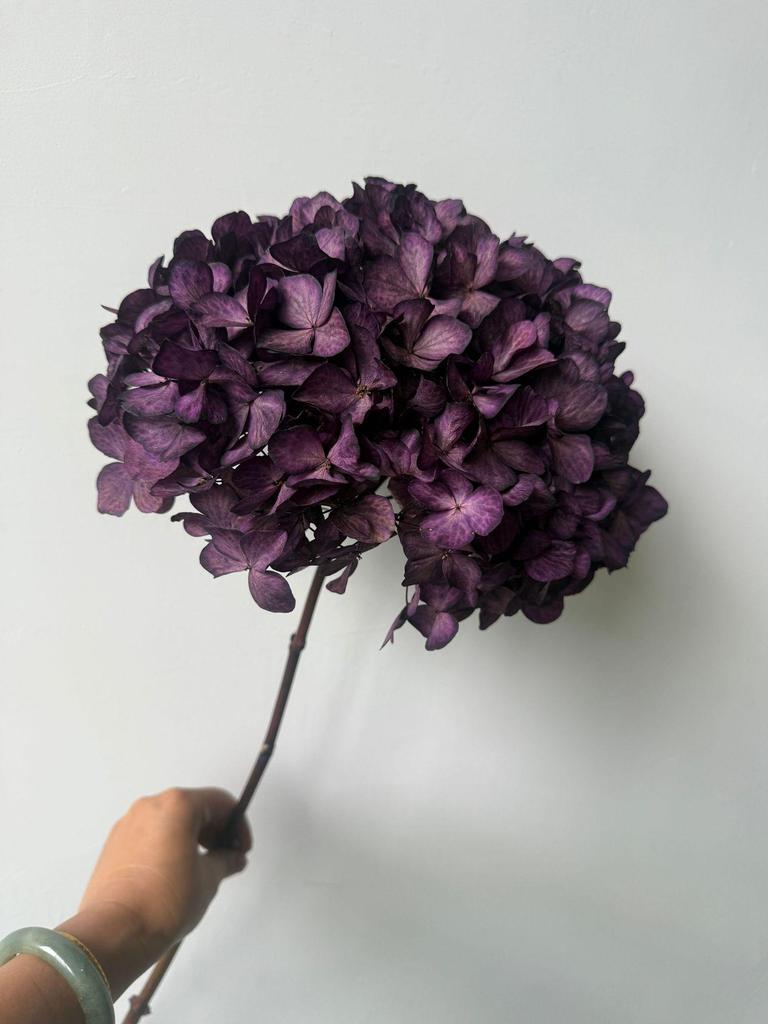 Multi-Color Preserved Bigleaf Hydrangea Single Stem Flower Bouquet for Home Decoration