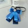 Professional Hairnet & Bow Tie Set