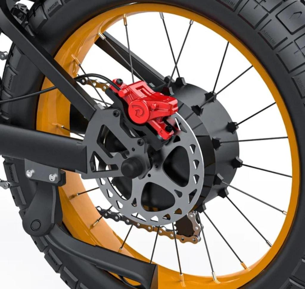 Electric Bike COSWHEEL GT20 1000W