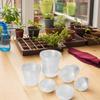 Clear Plant Pots 20 Pack With Saucers For Healthy Plant Growth 4 7 Inch