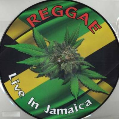 Виниловая пластинка РАЗЛИЧНЫЕ Регги Live In Jamaica Picture Vi LIB50241 Liberation Hall 2021 США Регги Ска Даб