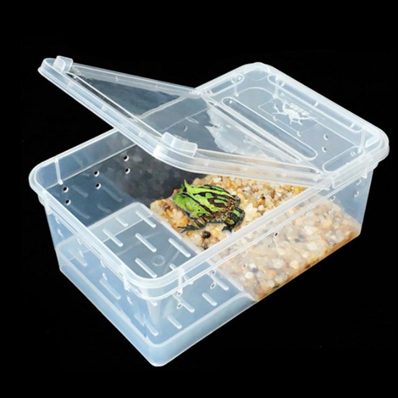 Reptile Box Mantis Jumping Spider Silkworm Rearing Box Reptile Rearing Box