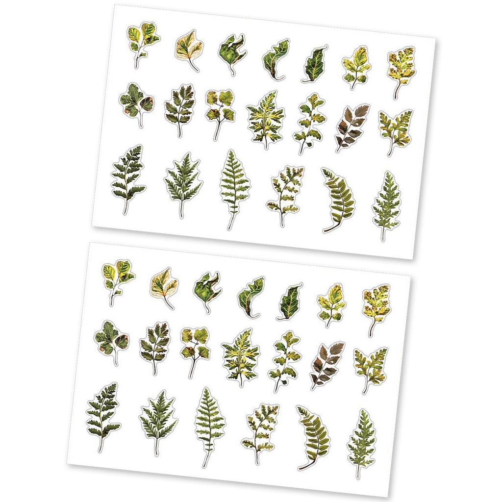 Plant Leaf Flower Themed Sticker Self Adheisve PET Sticker for Scrapbooking Journal Planner Phone Case Photo Album