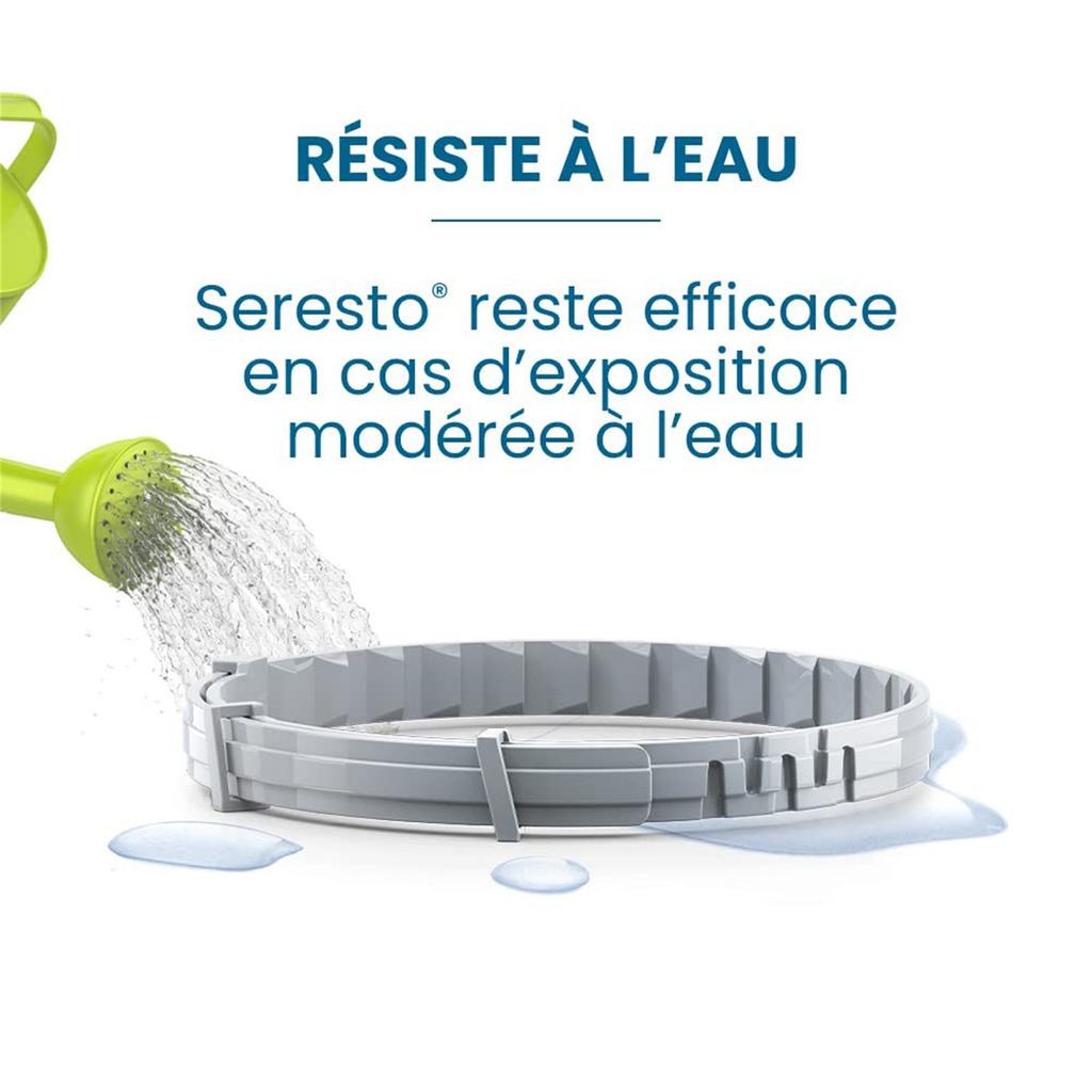 Ожерелье A Nt I Chip A Nt I Chip, чипсы Ant I и клещи A Nt I для собак