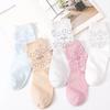 Hengyuanxiang 8-Pair Women's Cotton Mid-Calf Socks Gift Set