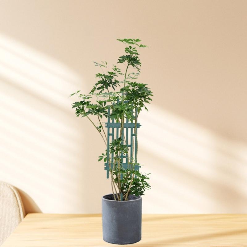 Plastic Trellis For Indoor Climbing Plant Plastic Trellis For Indoor Plant Climbers Support For Flower Growth Support