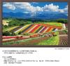 Yanoman [Made in Japan] 1000-Piece Jigsaw Puzzle: Japanese Landscape: Four Seasons Hills and the Tokachi Mountain Range (Hokkaido) (50x75cm) 10-1422.