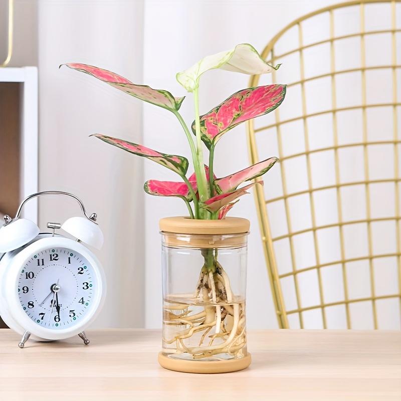 3 шт. Гидропонные вазы для растений - Горшки для выращивания без почвы с крышками, Прочный АБС-пластик, Комнатный/уличный горшок для трав, суккулентов, небольших растений