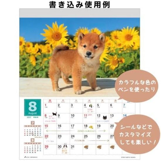 Настенный календарь Active Corporation 2027 года Mori Taibei Marugoto Shiba Inu 27ACL-11 Начинается в январе