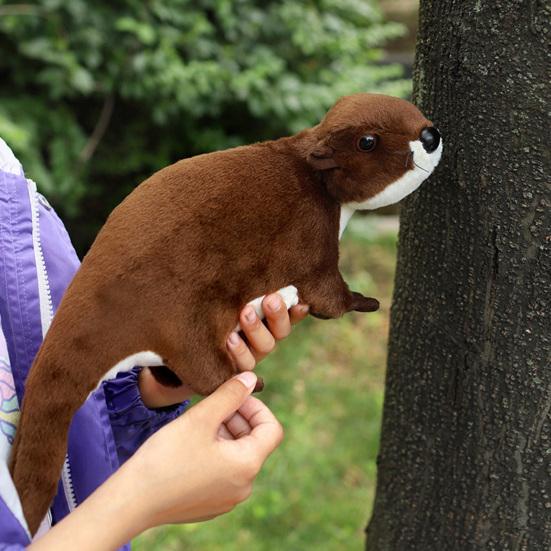 Имитация куклы выдры Живой вид Милые плюшевые выдры коричневого цвета Трехмерное украшение Мягкая набивная кукла-игрушка Сувениры из зоопарка Подарок на день рождения