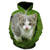 Oversized Ferocious Animal Wolf Hooded Mens Sweatshirts 3D Printing Ice Series Pullover Long Sleeve Hoodies Streetwear Tops