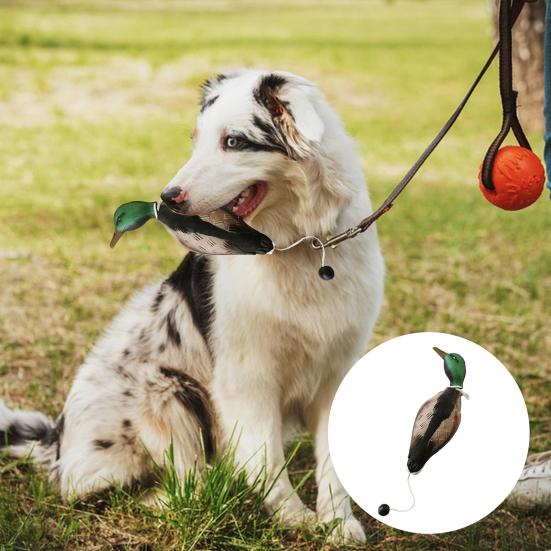 Игрушка для домашних животных, реалистичная форма фазана, голубя, утки, игрушка для дрессировки собак, устойчивая к укусам, игрушка для охотничьих собак, товары для домашних животных