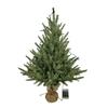 60CM Norfolk Christmas Tree Front Door Christmas Tree Decoration Indoor Living Room Christmas Decoration