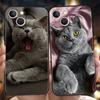 Британская короткошерстная кошка Роскошный чехол для телефона Для iPhone 11 12 13 14 15 16 Pro Max Mini X XR XS 7 8 Plus SE Силиконовый чехол Черный Funda