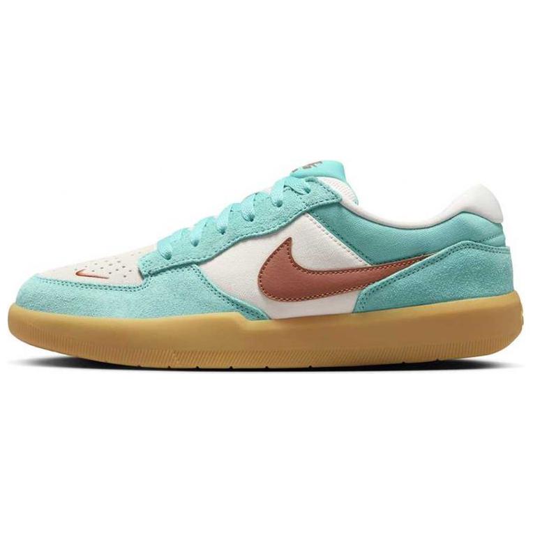 Nike Sb Force 58 Dusty Cactus Skateboard Shoes DV5477-302